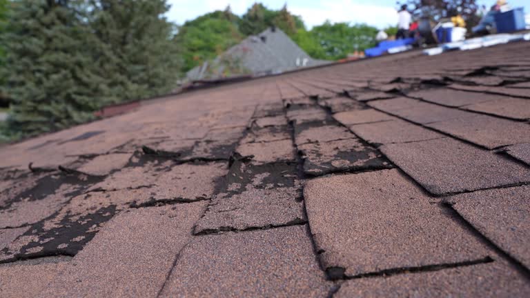 Fast & Reliable Emergency Roof Repairs in Warrenton, MO